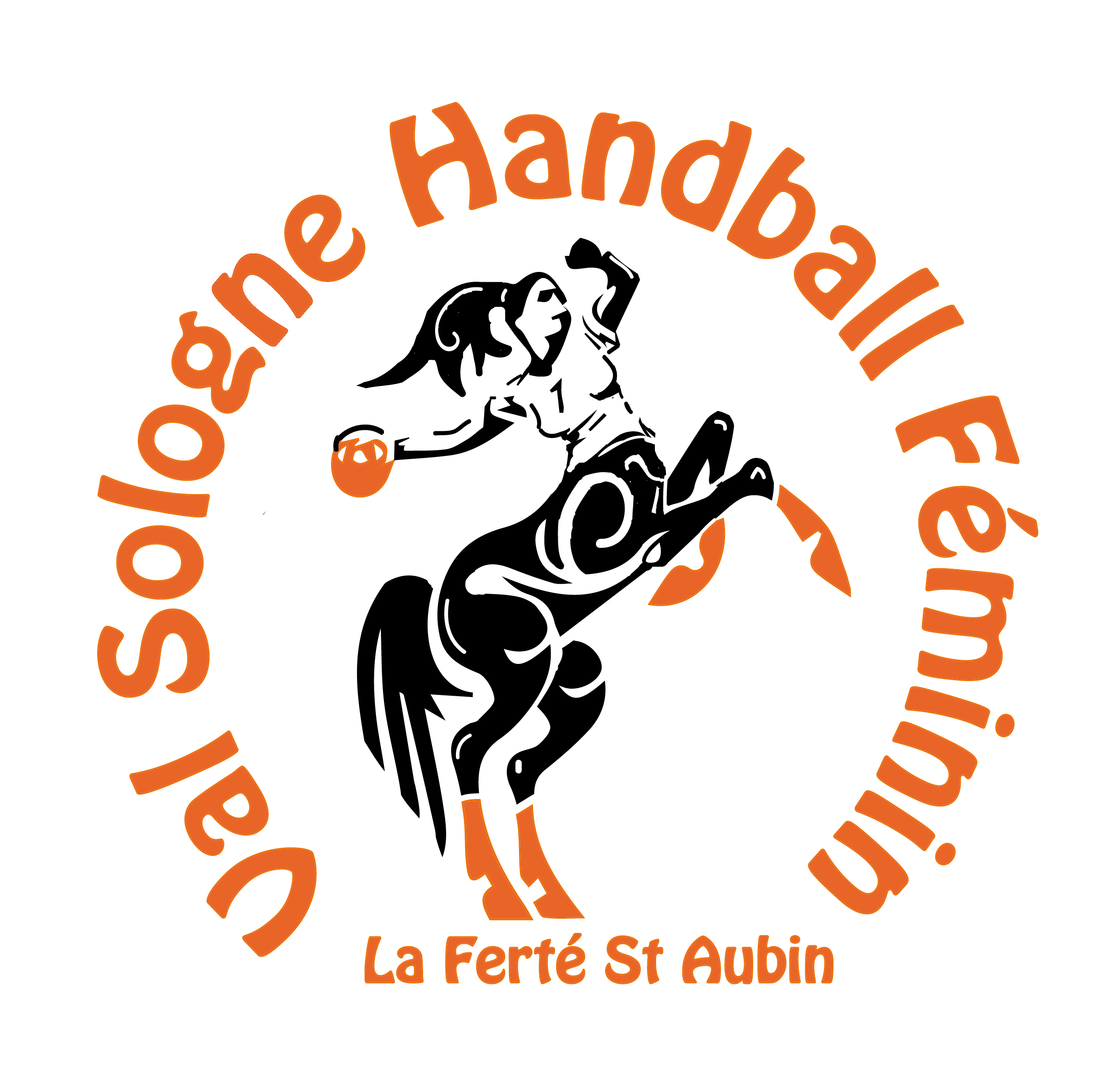 Logo de VAL SOLOGNE HANDBALL FEMININ