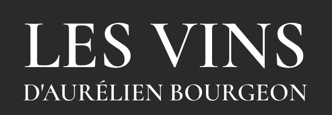 Logo Les Vins d'Aurélien